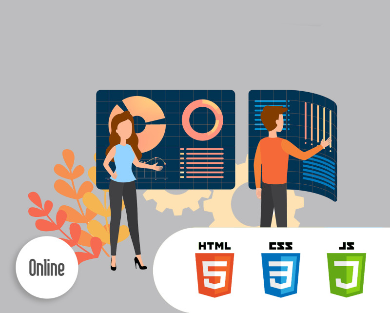 Online course - Website developer (5 meetings)